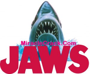 JAWS 2021.2107.12 Crack + Torrent (Win-Mac) Full Version 2021